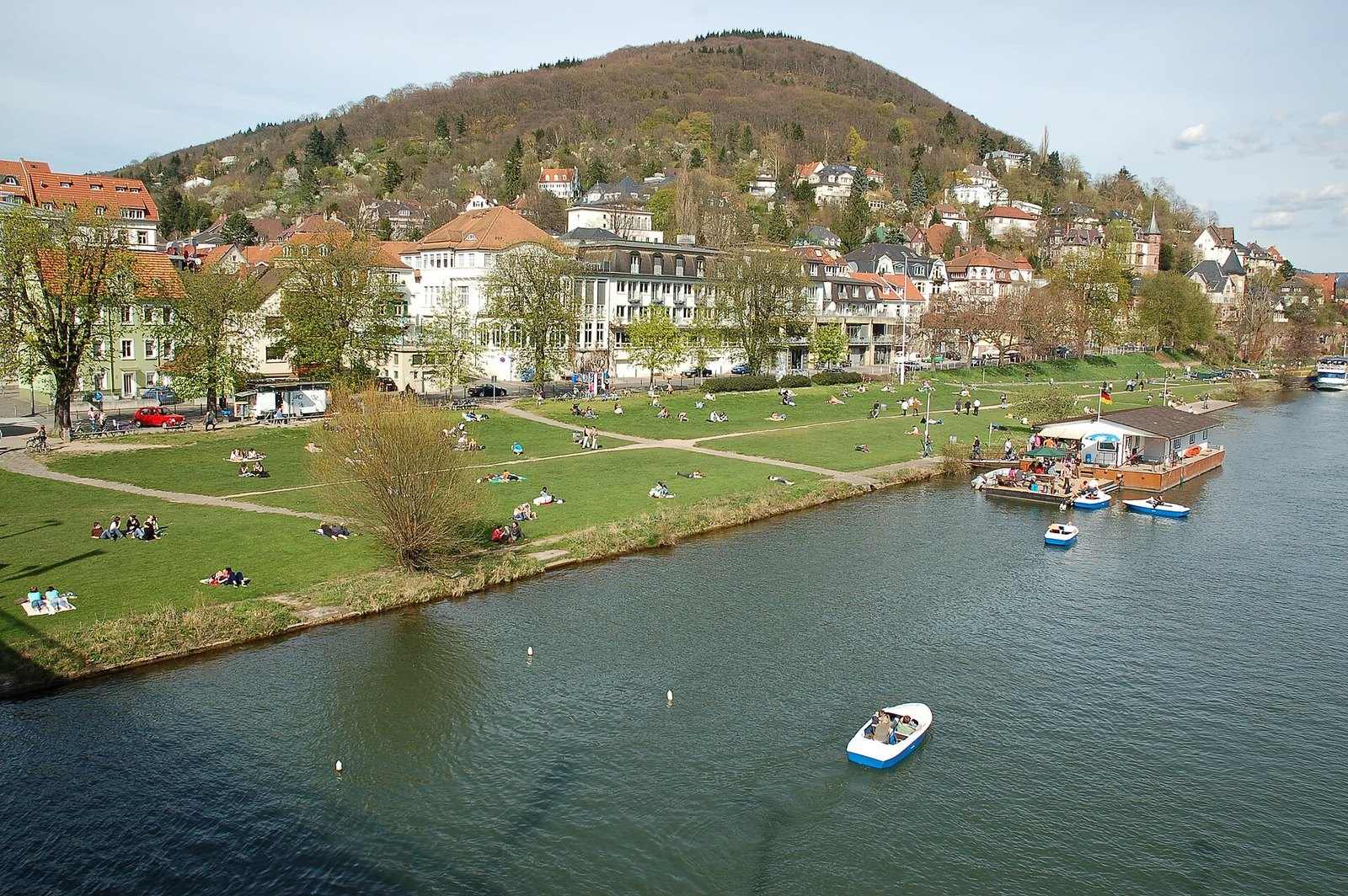 Neckarwiese in Neuenheim mit Tretbooten auf dem Neckar