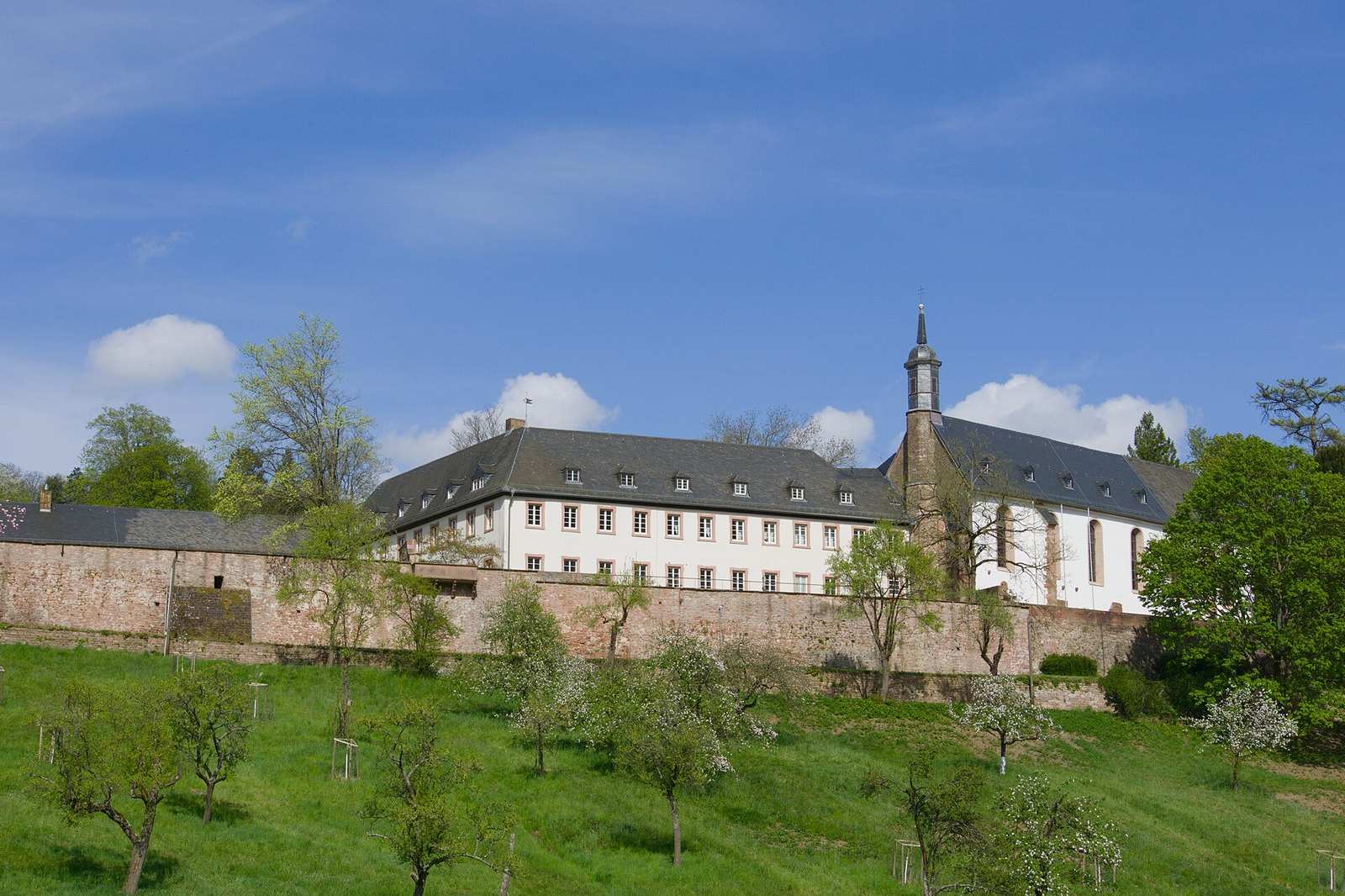 Benediktinerabtei Stift Neuburg am Hang über dem Neckar